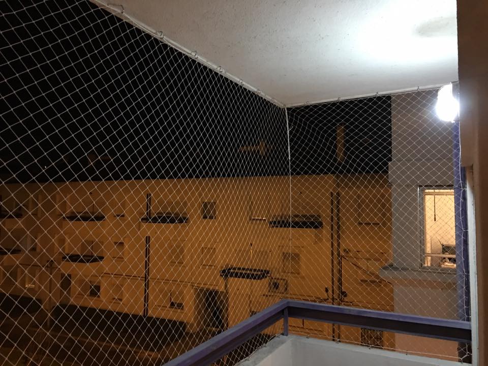 506359451_9871195802991511_4190243345331124185_n