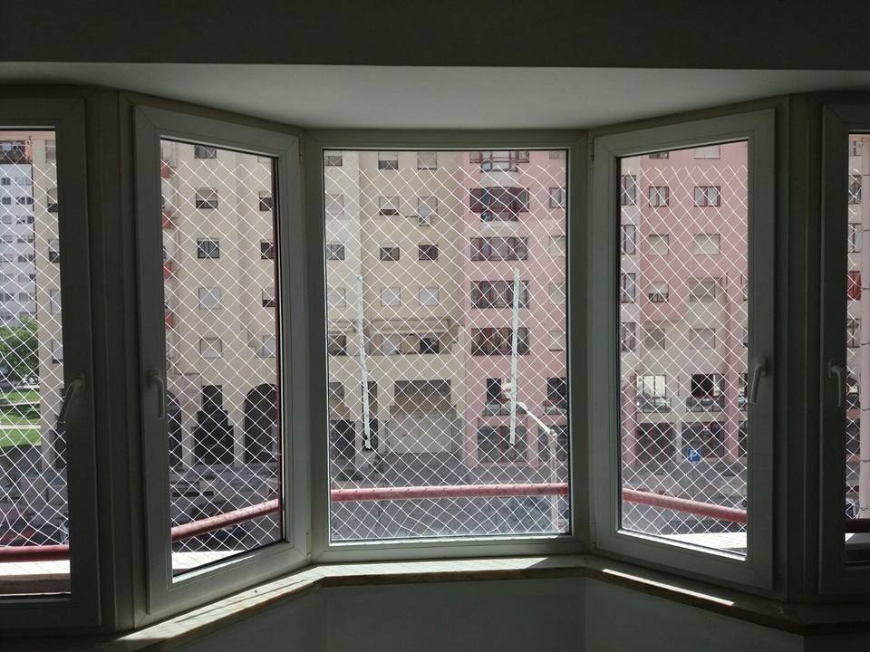 506743862_9871941266250298_4247434907484651080_n